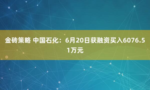 金砖策略 中国石化：6月20日获融资买入6076.51万元