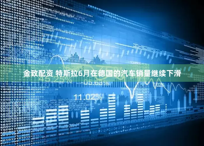 金致配资 特斯拉6月在德国的汽车销量继续下滑