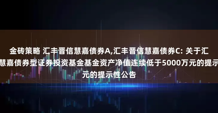 金砖策略 汇丰晋信慧嘉债券A,汇丰晋信慧嘉债券C: 关于汇丰晋信慧嘉债券型证券投资基金基金资产净值连续低于5000万元的提示性公告