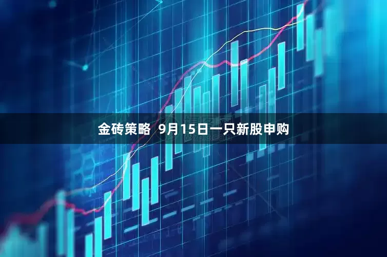 金砖策略  9月15日一只新股申购