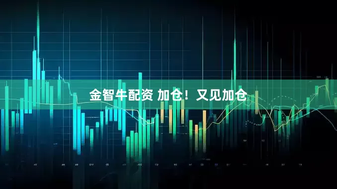 金智牛配资 加仓！又见加仓