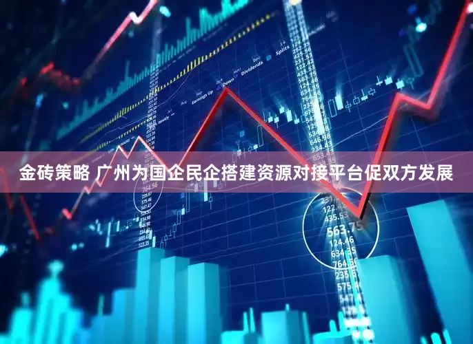 金砖策略 广州为国企民企搭建资源对接平台促双方发展